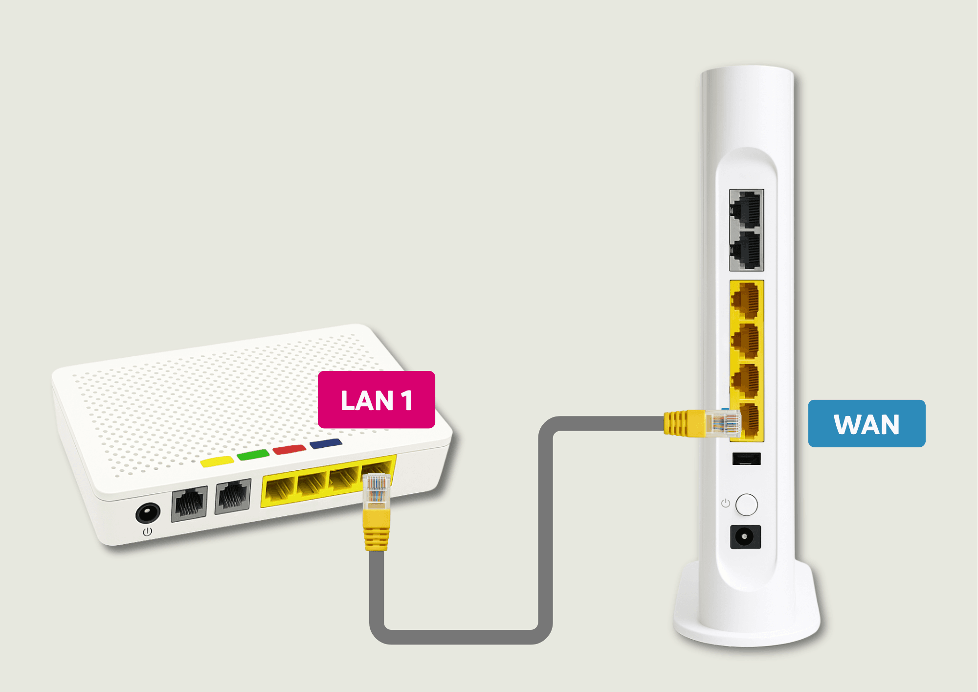 Pas 2: Connecta el cable de xarxa