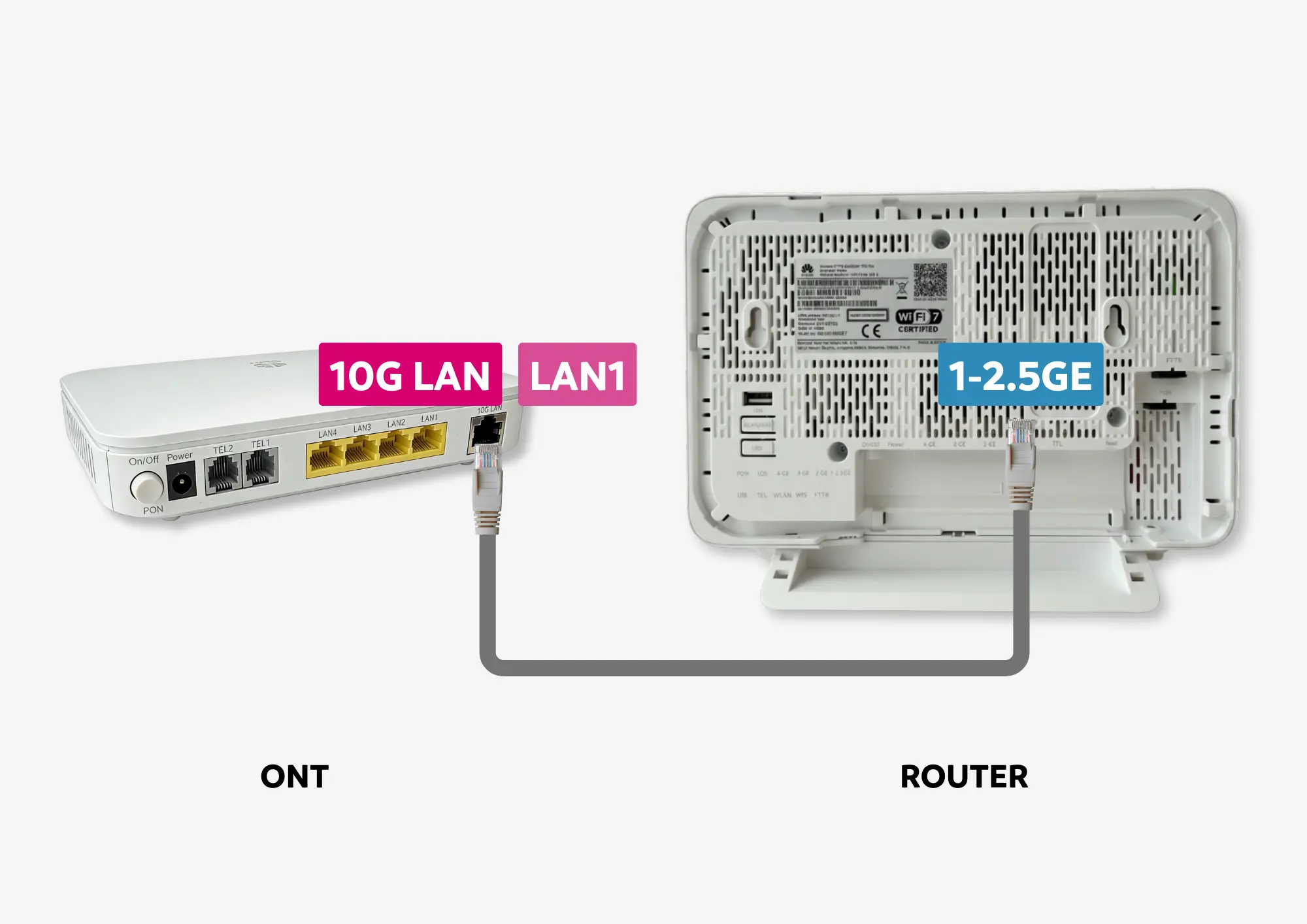 Pas 2: Connecta el cable de xarxa