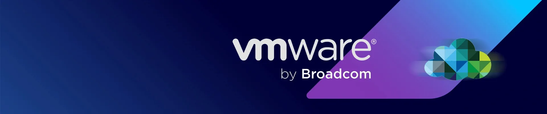 We work with VMware
