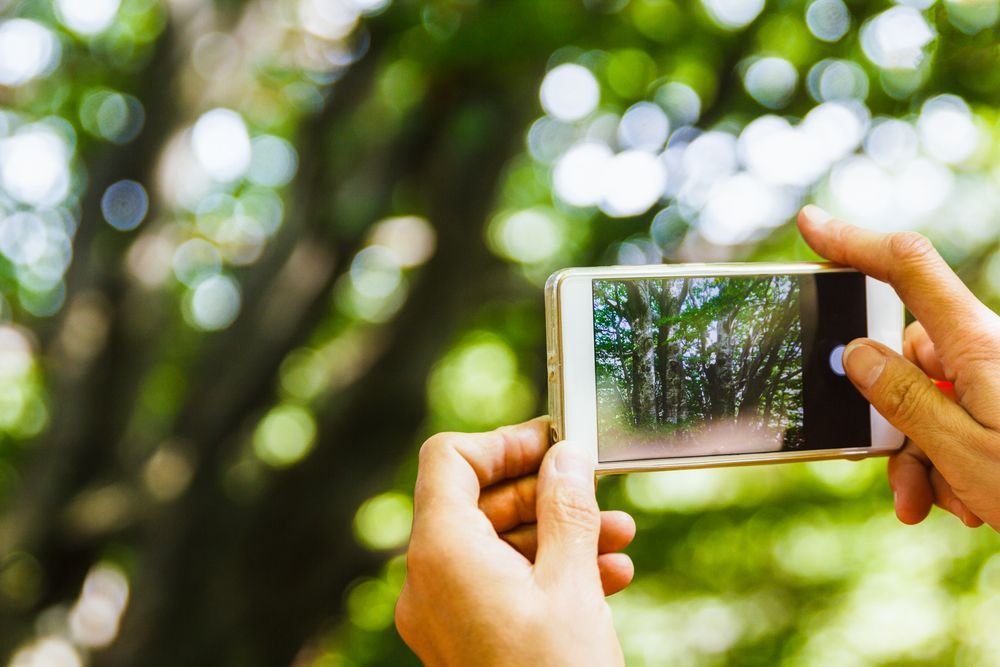 5 consells imprescindibles per a fer bones fotos amb el teu mòbil