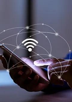 Internet Professional<br>fins a 2,5 Gbps fons